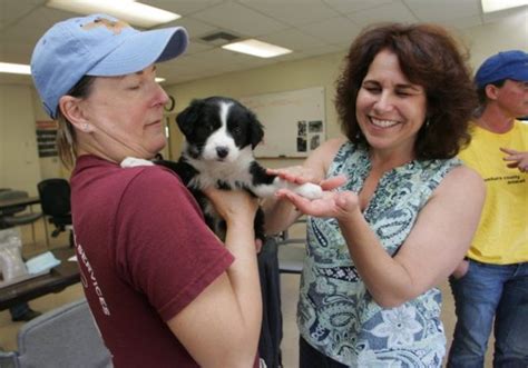 Camarillo animal shelter - Adoptions are on a drop-in, first-come, first-served basis. When you arrive, please stop by the front desk to meet with a counselor. Visitors are accompanied by staff or volunteers to keep our animals comfortable and minimize their stress. For general questions, email adopt@sbhumane.org or call 805-964-4777.